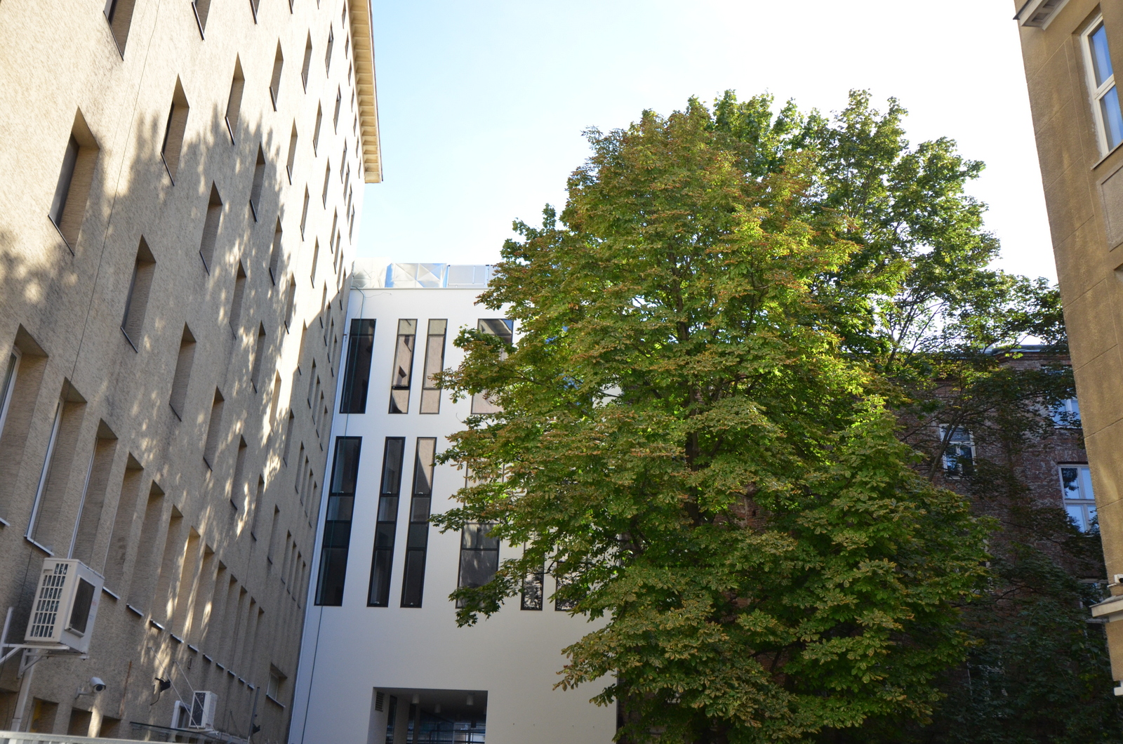 Biblioteka Główna Województwa Mazowieckiego w Warszawie - ujęcie zewnętrznej fasady Biblioteki wraz z rosnącym obok drzewem