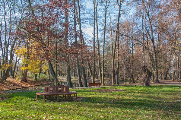 Park w Brwinowie