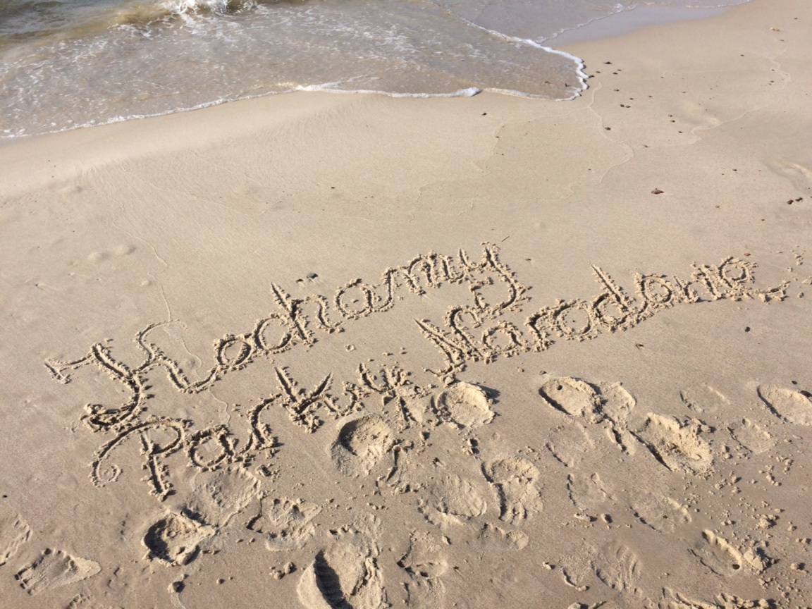Zdjęcie z planu filmowego, filmy o Parkach Narodowych, napis na piaszczystej plaży: Kochamy Parki Narodowe 