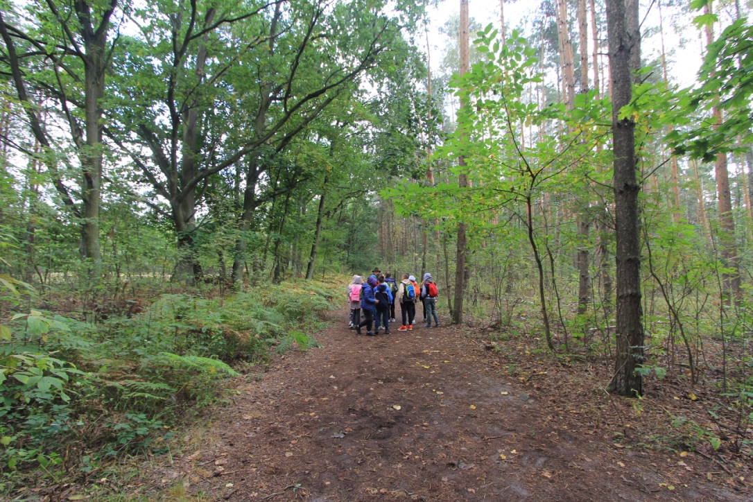 Leśna ścieżka, w oddali grupa dzieci z przewodnikiem. 